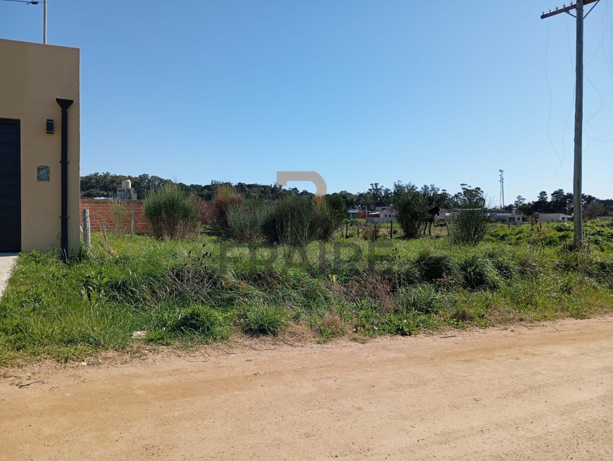 LOTE DE 15,60 X 25 - BALCARCE