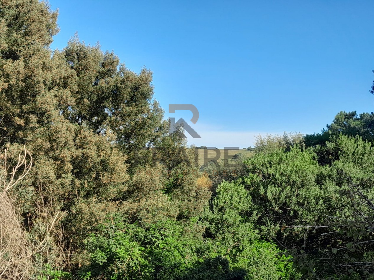 CASA 3 AMBIENTES SEMI AMOBLADA - SIERRA DE LOS PADRES
