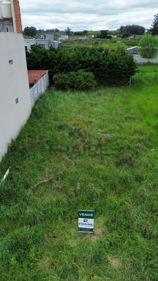 LOTE DE 12,30 X 25 - BALCARCE