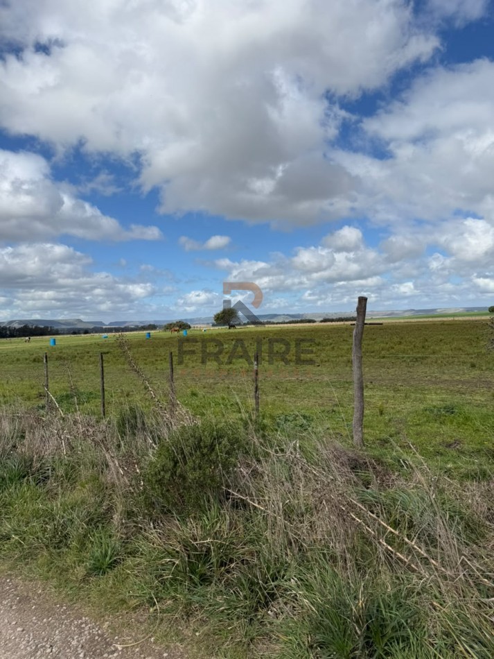 LOTE DE 12.5m X 50m - BALCARCE