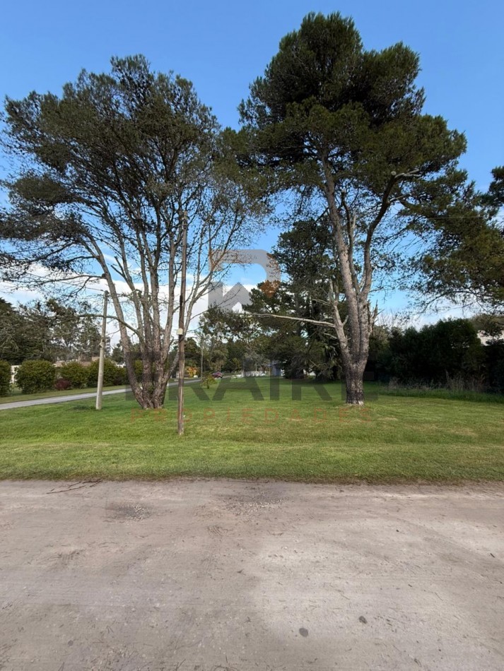 LOTE DE 20m X 60m - COBO