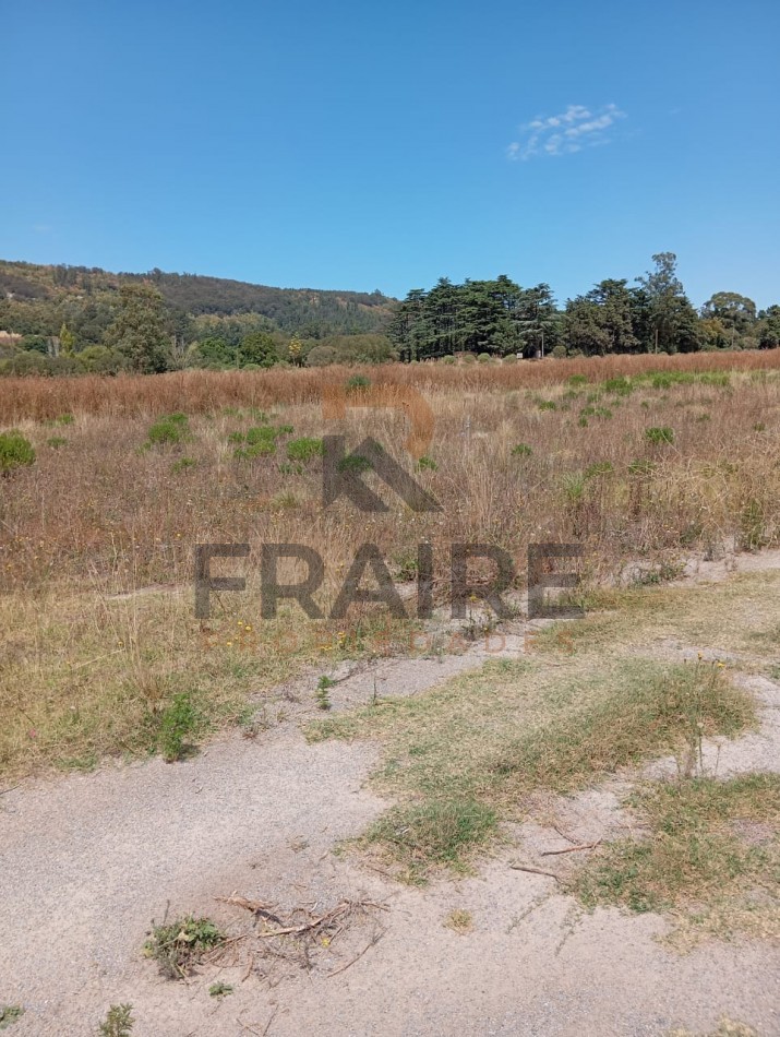 LOTE 20 X 50 - BALCARCE