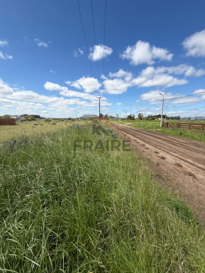4 LOTES DE 12.5m x 37.5m - BALCARCE