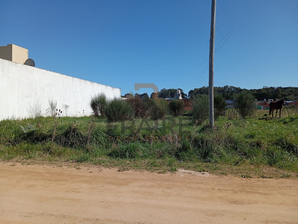 LOTE DE 15,60 X 25 - BALCARCE