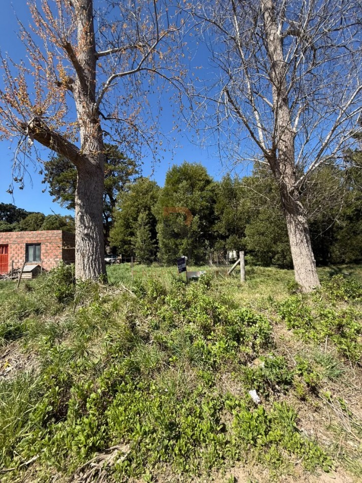 LOTE DE 10m x 30m - NECOCHEA