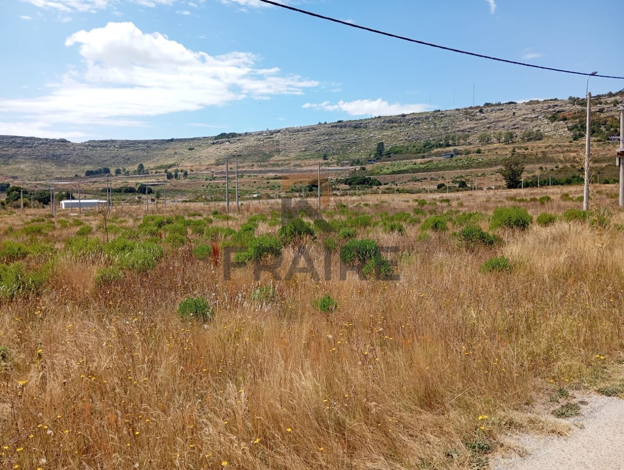 LOTE 20 X 50 - BALCARCE