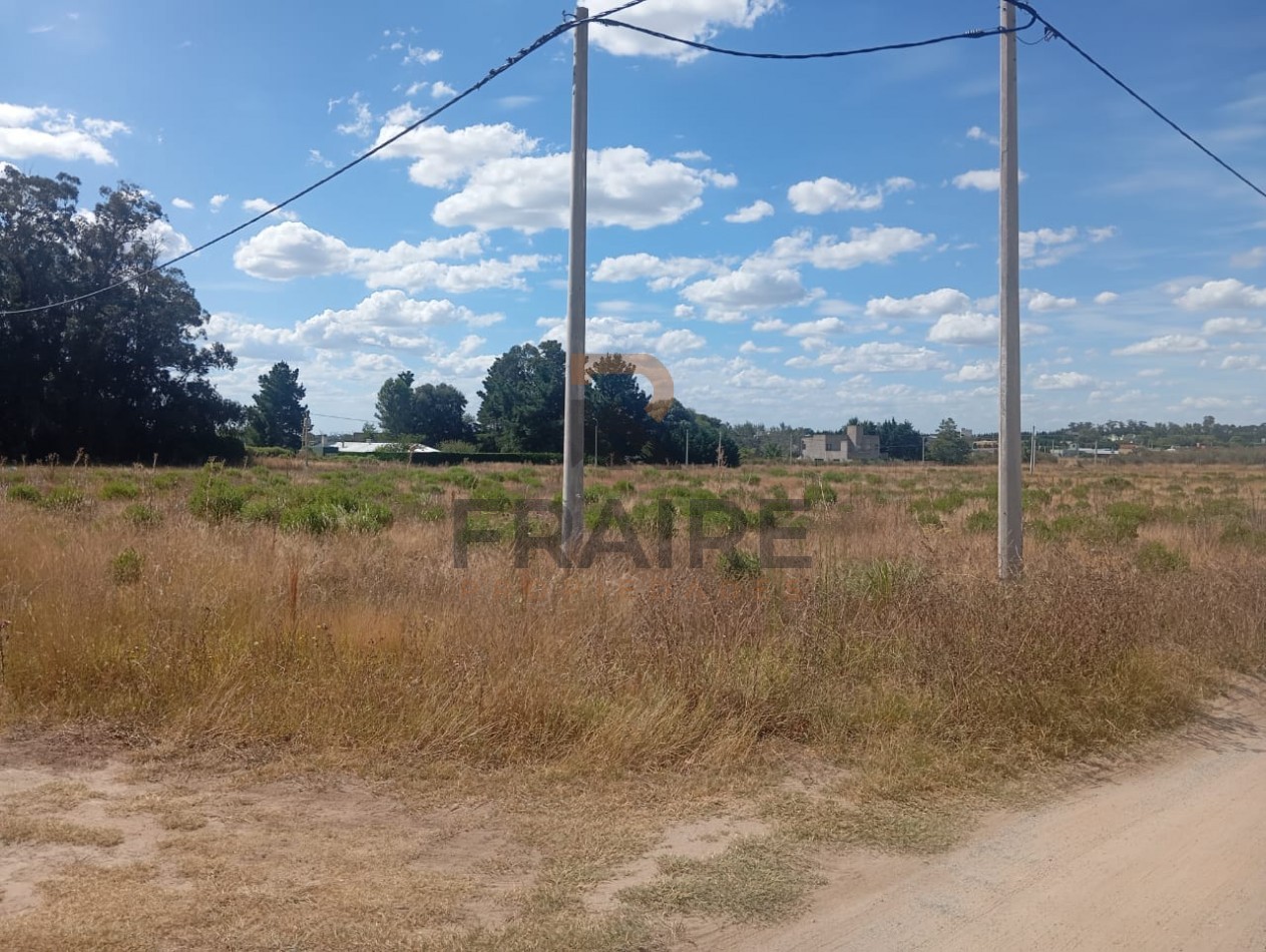 LOTE 20 X 50 - BALCARCE
