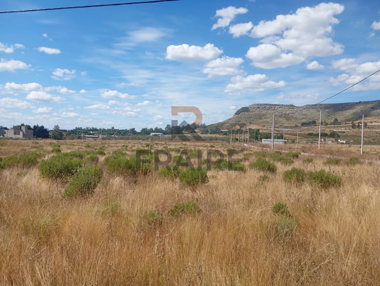 LOTE 20 X 50 - BALCARCE