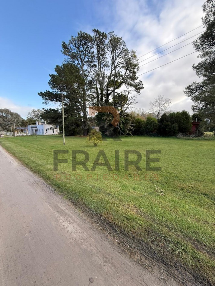 LOTE DE 20m X 60m - COBO