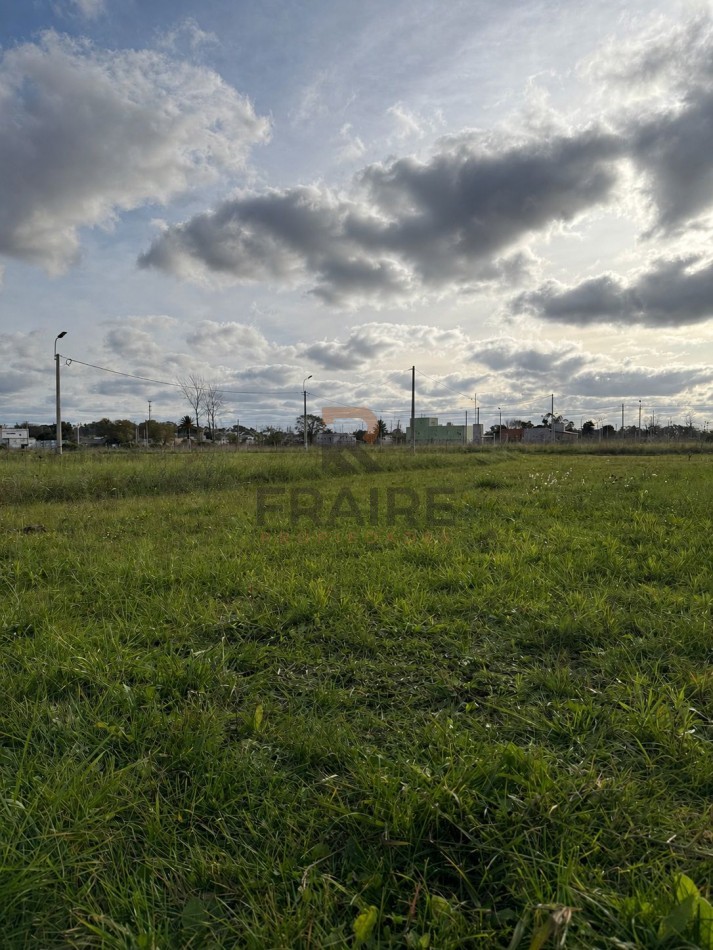 LOTE 12.5m x 25m - BALCARCE