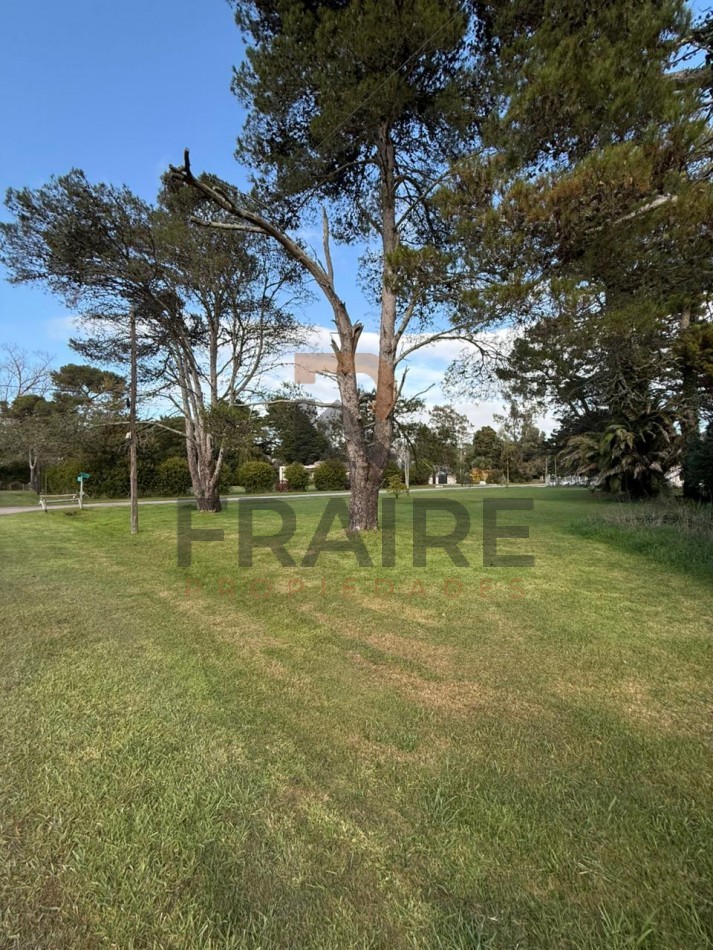 LOTE DE 20m X 60m - COBO