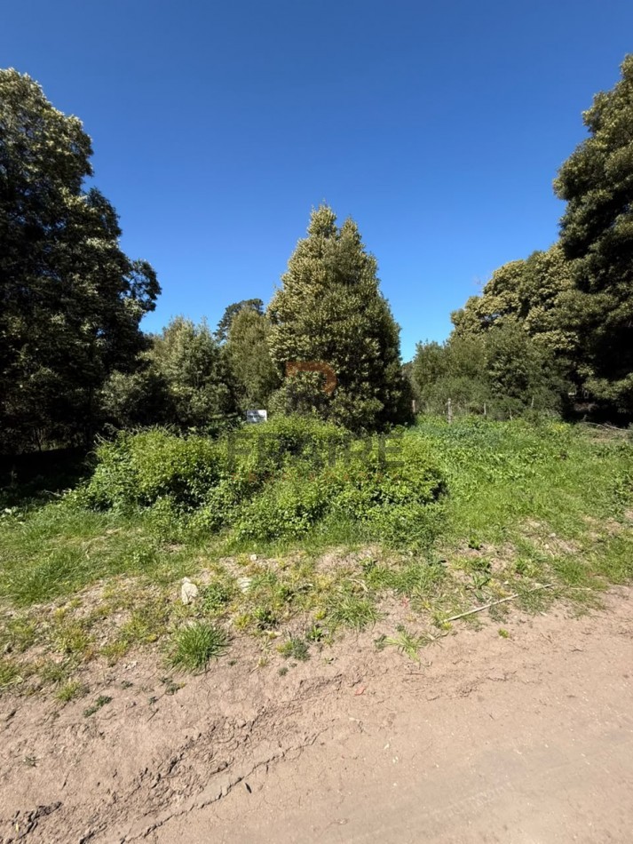 LOTE DE 10m x 30m - NECOCHEA