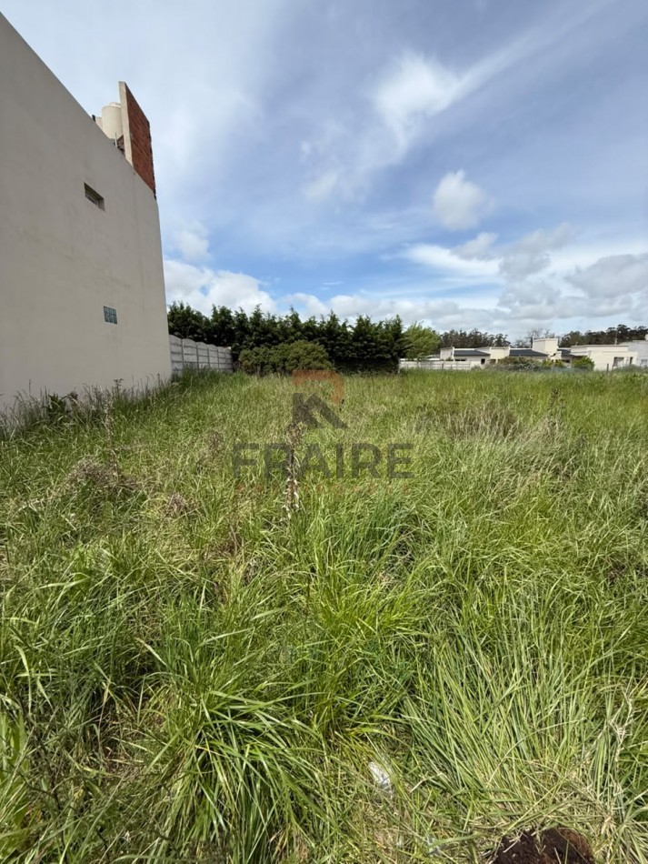 LOTE DE 12,30 X 25 - BALCARCE