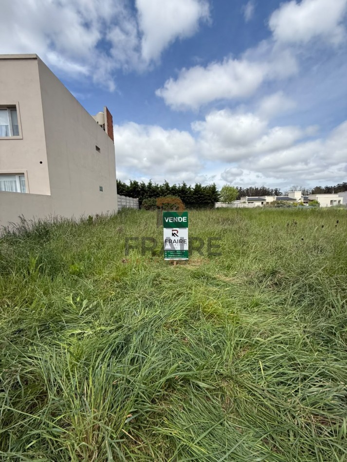 LOTE DE 12,30 X 25 - BALCARCE