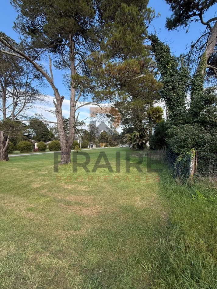 LOTE DE 20m X 60m - COBO