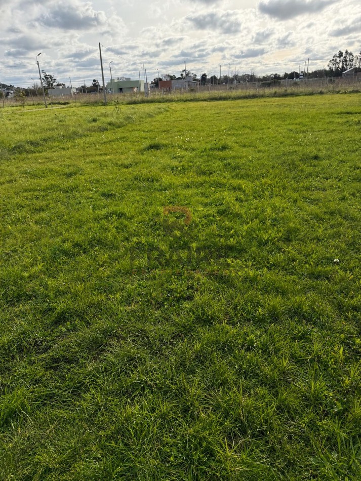LOTE 12.5m x 25m - BALCARCE