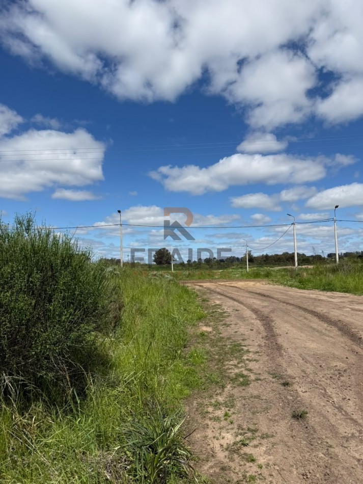 4 LOTES DE 12.5m x 37.5m - BALCARCE