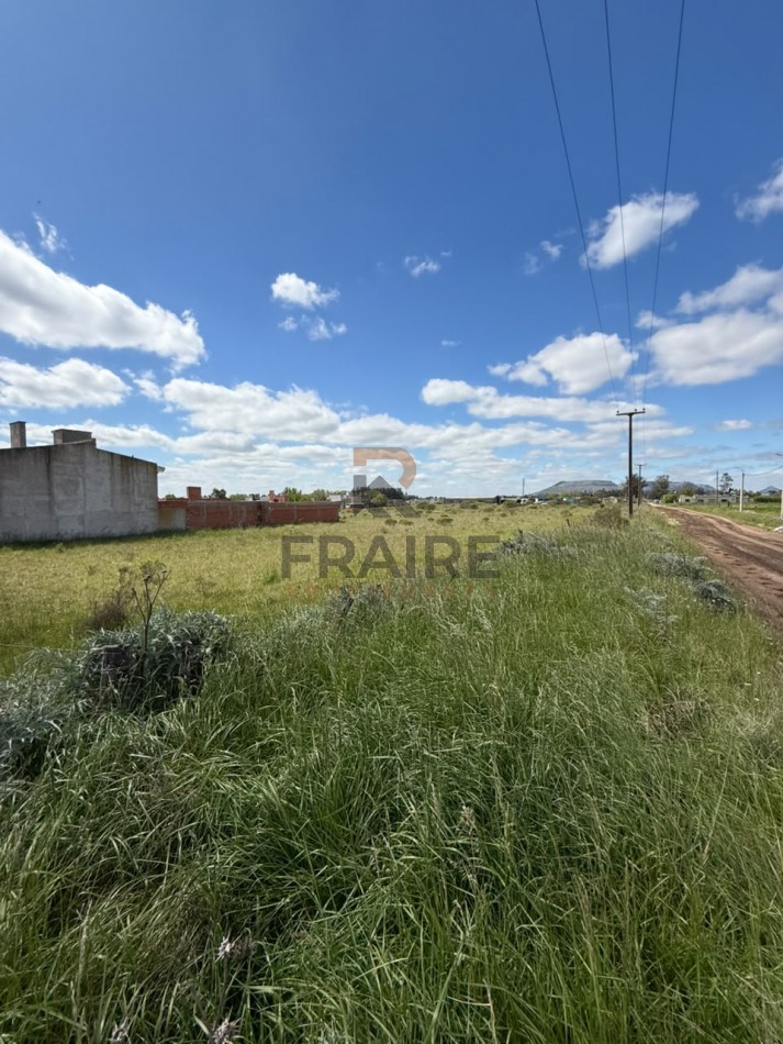 2 LOTES DE 12.5m x 50.0 m -BALCARCE