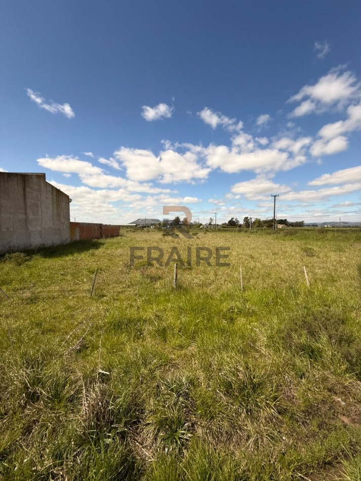 6 LOTES DE 12.5m x 25m - BALCARCE