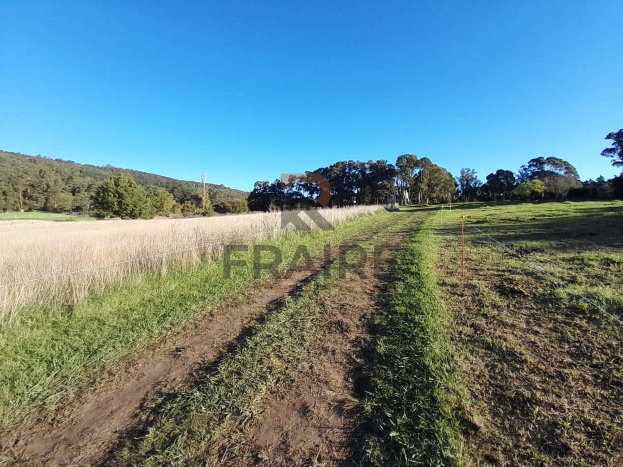 2 LOTES DE 20 X 65 - BALCARCE