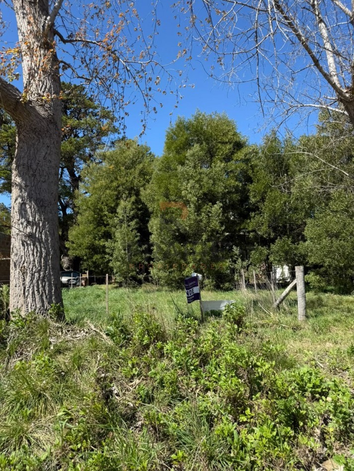 LOTE DE 10m x 30m - NECOCHEA