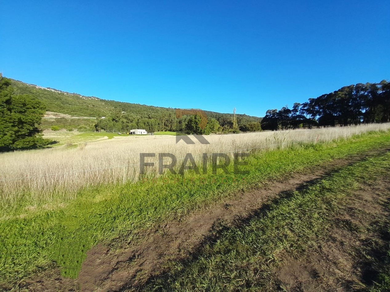 2 LOTES DE 20 X 65 - BALCARCE