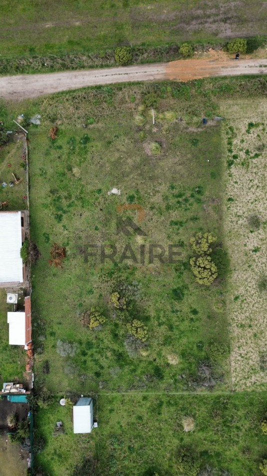 LOTE DE 12.5m x 50m - BALCARCE