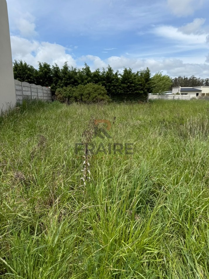 LOTE DE 12,30 X 25 - BALCARCE