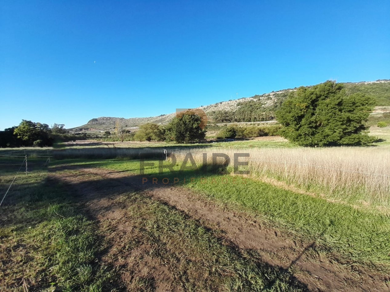 2 LOTES DE 20 X 65 - BALCARCE
