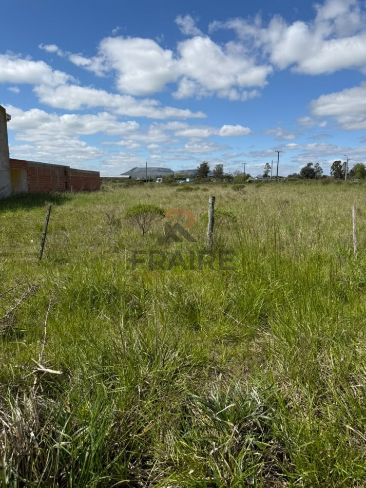 2 LOTES DE 12.5m x 50.0 m -BALCARCE