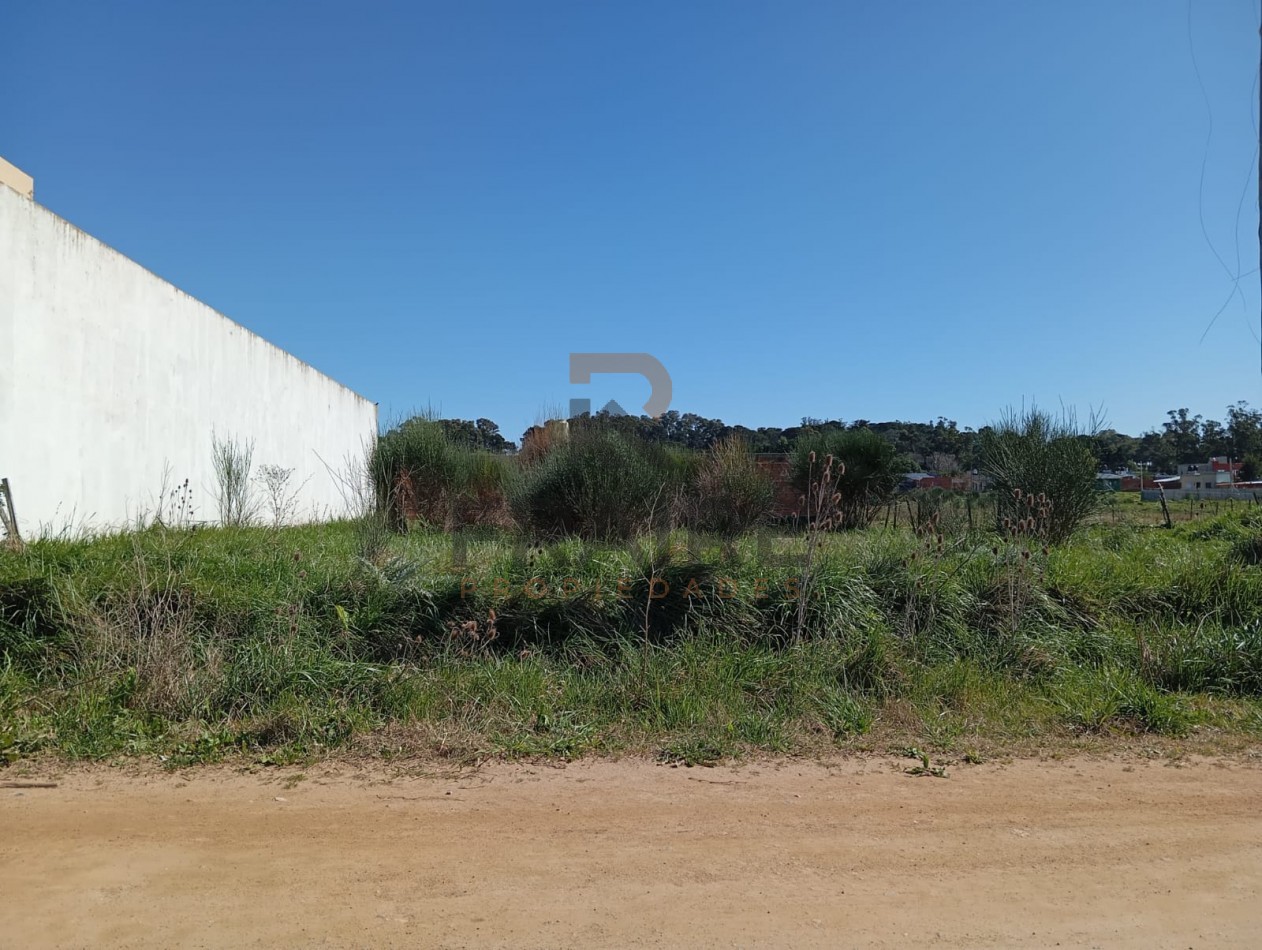 LOTE DE 15,60 X 25 - BALCARCE