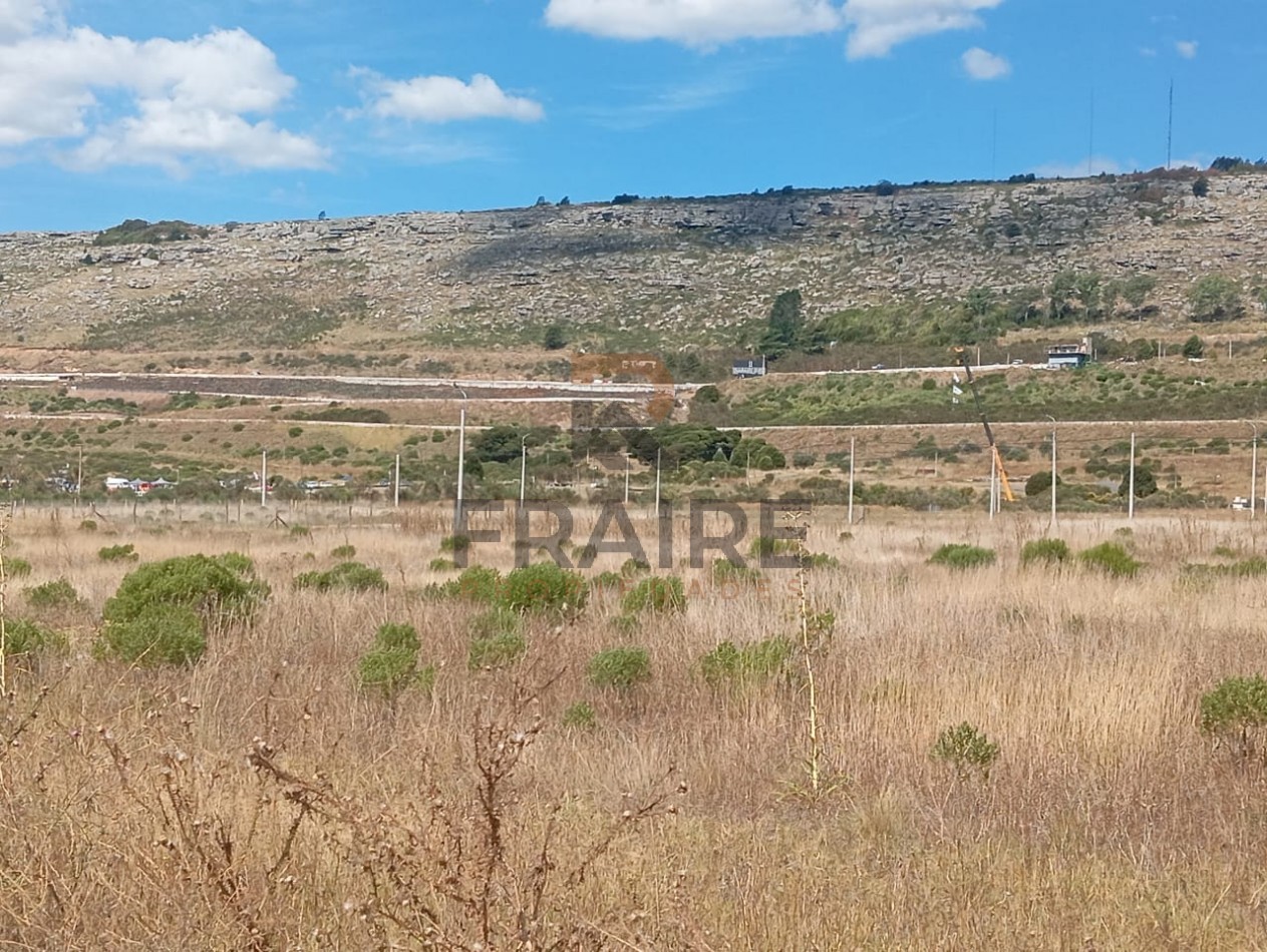 LOTE 20 X 50 - BALCARCE