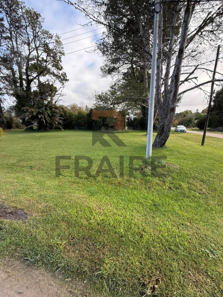 LOTE DE 20m X 60m - COBO