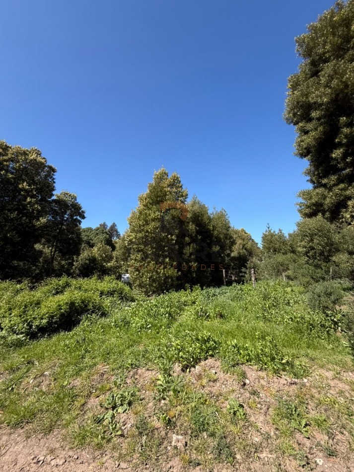 LOTE DE 10m x 30m - NECOCHEA