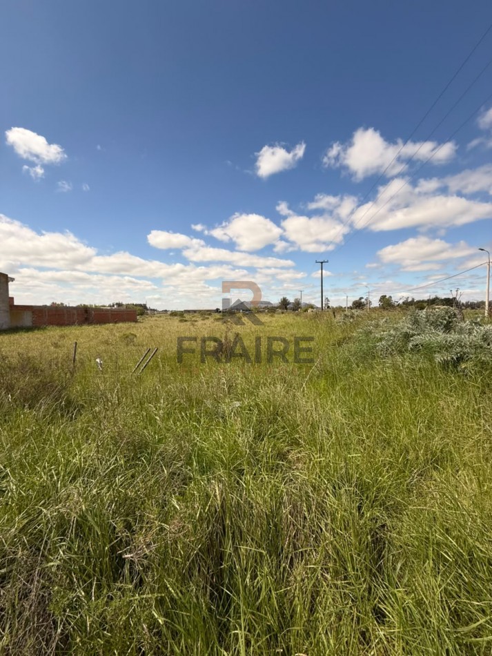 4 LOTES DE 12.5m x 37.5m - BALCARCE