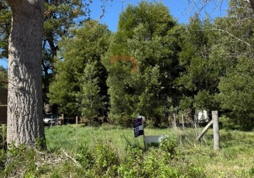 LOTE DE 10m x 30m - NECOCHEA