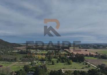 2 LOTES DE 20 X 65 - BALCARCE