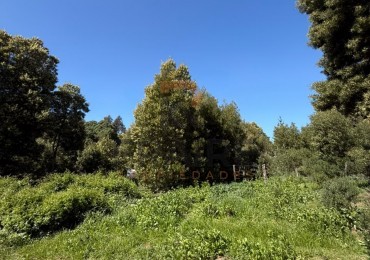 LOTE DE 10m x 30m - NECOCHEA